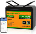 ECO-WORTHY LiFePO4 100 Ah Bluetooth, Lithium Batterie 12 V 100 ah mit BMS Low Temperature Schutz und Max. 15000 Zyklens, Boot, Solarpanel